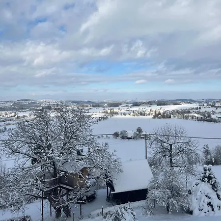 Gruenberg Lejlighed Gmunden