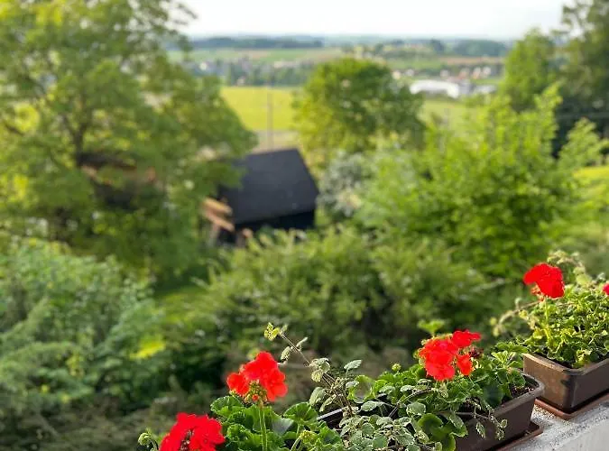 Apartman Gruenberg *