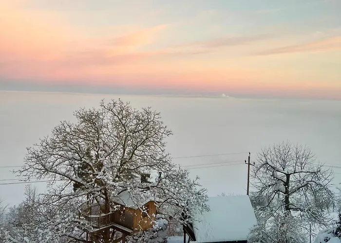 Apartman Gruenberg *