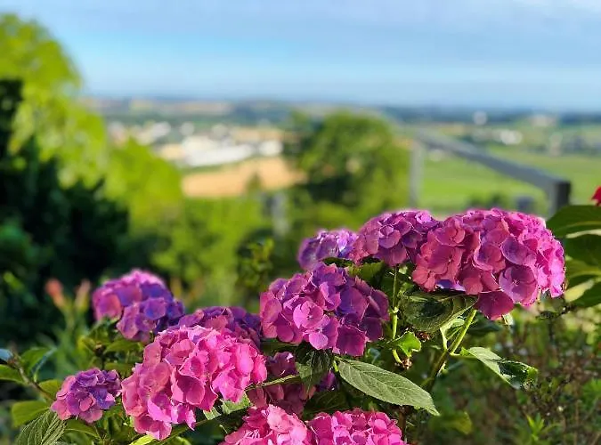 Apartamento Grünberg Gmunden